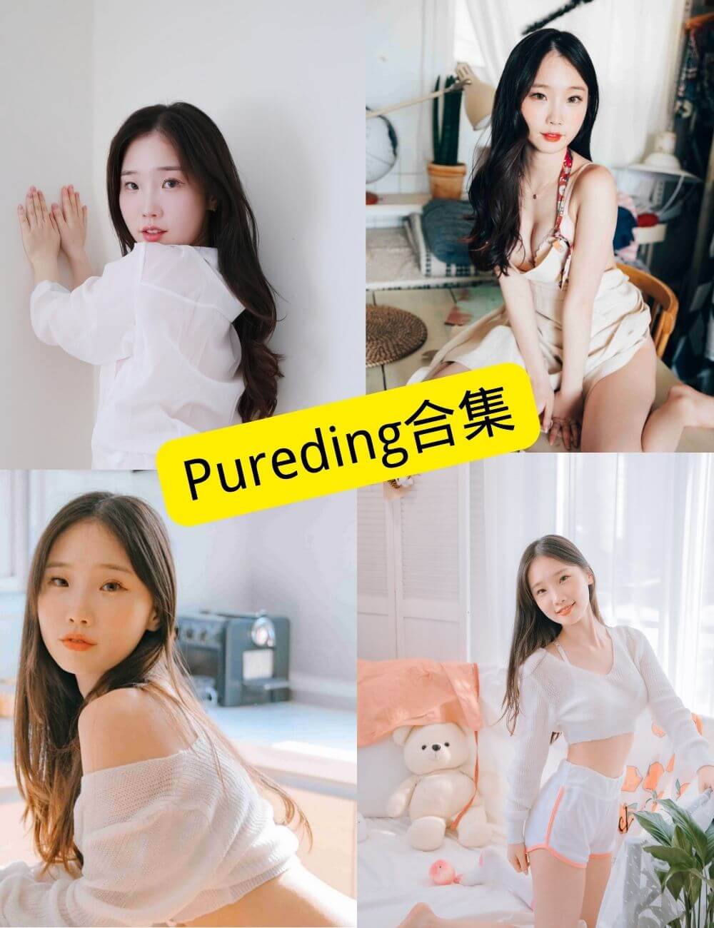 Pureding 写真合集封面