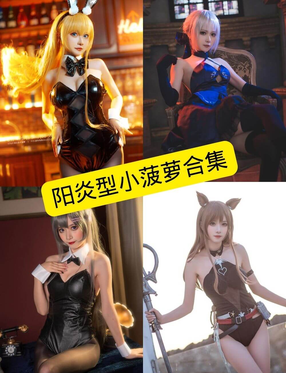 阳炎型小菠萝封面
